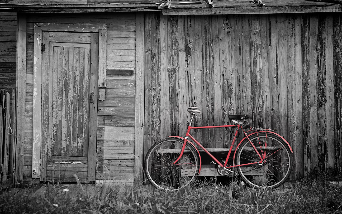 bike_shed